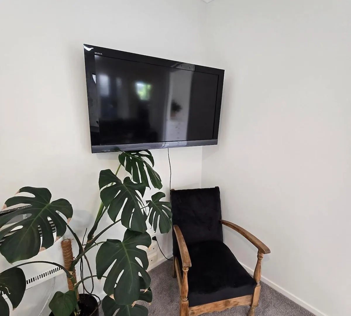 Bethlehem Home, Plus Self Contained Apartment Tauranga Villa